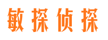 拜城外遇调查取证